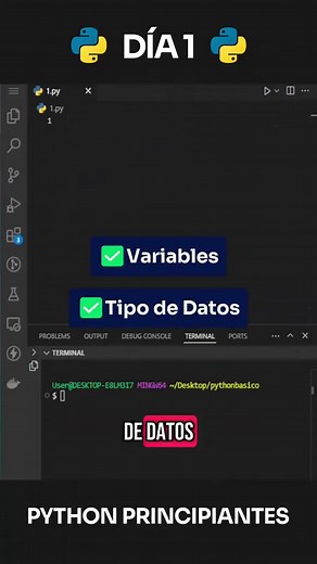 Ejercicio Diario de Python para Principiantes