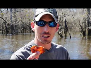 How to Make Fried Shad Chips / Fish Chips - Eastern NC Recipe hosted by Stuart Edwards @ Wildfired