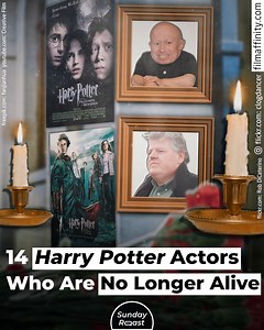 29K reactions · 9.1K shares | Harry Potter is that one franchise we never grow tired of revisiting. Sadly, with each passing year, we keep losing more actors from the series. In 2022, we lost Robbie Coltrane, the actor behind Rubeus Hagrid. In 2023, Michael Gambon, who brought Albus Dumbledore to life, also passed away. | Sunday Roast | Facebook