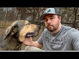 Bear Had to Go, DON'T Get MAD!