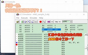 CS202：神奇的“归零术”－LC-3下的AND指令
