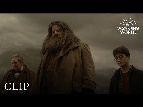 Harry Attends Aragog's Funeral | Harry Potter and the Half-Blood Prince