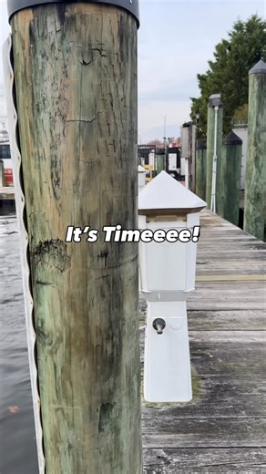 1K views · 90 reactions | It’s time… the Jolly Express Cruise...