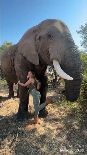 Are You Prepared for a WILDLIFE Encounter? | Insta360 GO 3S