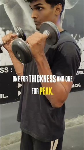 The Only 6 Exercises You Need For Pull Day (Beginner Guide)