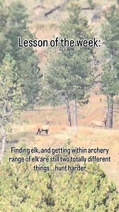 40K views · 2.5K reactions | Another good week of elk viewing. Any day hunting elk is a good day. That is all. #elkhunting #huntingseason #hunting #elk #montana #outdoors #mountains #adventure #hunthard #goodtimes #instagram #reels #thankful #montanahunting #westernhunting #hunt #bullelk | West of Wild | Facebook