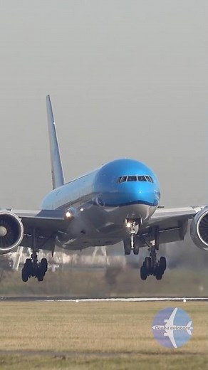 KLM 777 Greases the Landing at Schiphol! ✈️