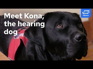 This service dog changed a woman's life after losing her hearing