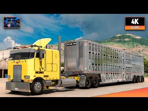 Peterbilt 362 + Cummins N14 | Jackpot - Provo | ATS 1.58 4K Gameplay + Wheel Cam