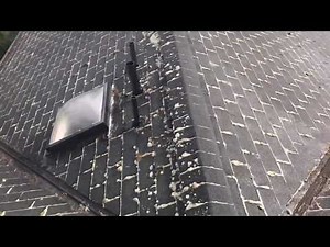 Part 5: soft washing roof with heavy moss and algae. How to clean moss off your roof w/ no damage