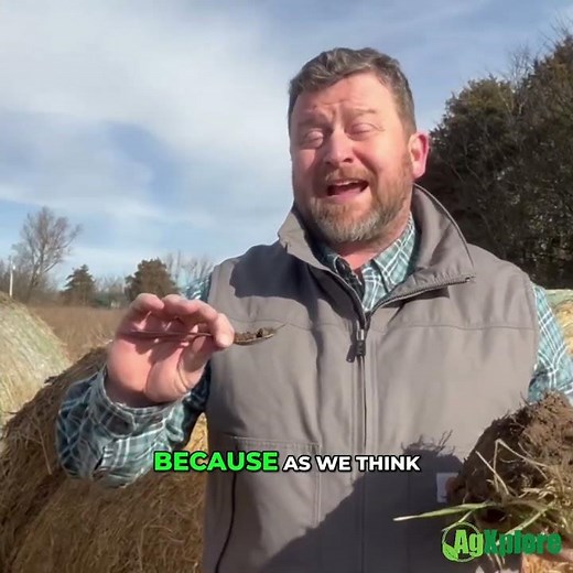 Billions in a Spoonful of Soil? Why Soil Biology Is More Complex Than We Think