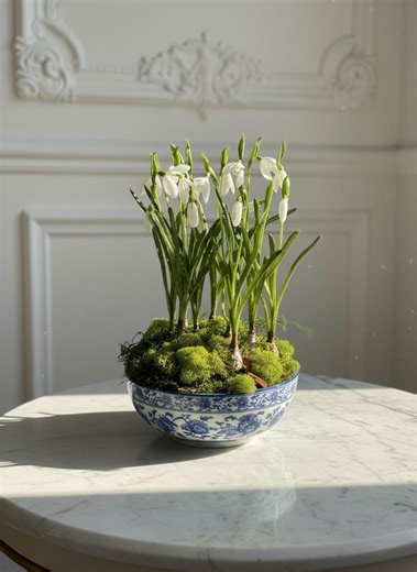 Faux Snowdrop Bulbs in Decorative Bowl With Moss - Etsy