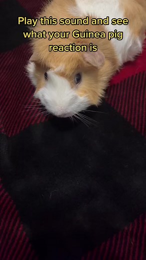 Bri Johnson ⸆⸉ on TikTok