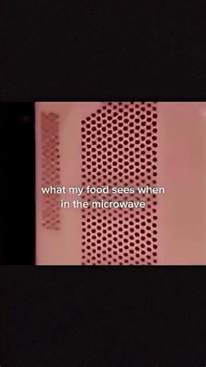 What my food sees in the microwave… #mrbeast #christmas
