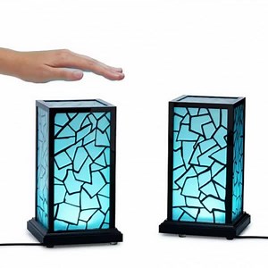 1.1M views · 16K shares | FRIENDSHIP LAMPS - a pair of lamps that...