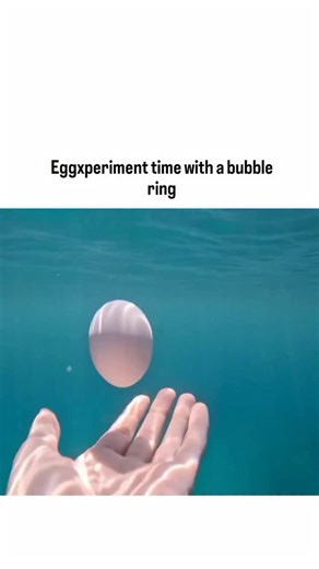 netflix.decode on Instagram: "- The X post by @Rainmaker1973 features a 17-second underwater video of a diver attempting to pass a raw egg through a self-created bubble ring, captioned "Eggxperiment time with a bubble ring," which highlights fluid dynamics through a visually striking challenge. - Bubble rings form stable toroidal vortices when air is ejected in a spinning motion, with stability increasing with rotation speed due to conserved angular momentum, as detailed in fluid dynamics studie