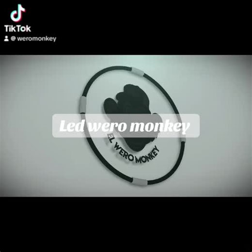 Led wero monkey