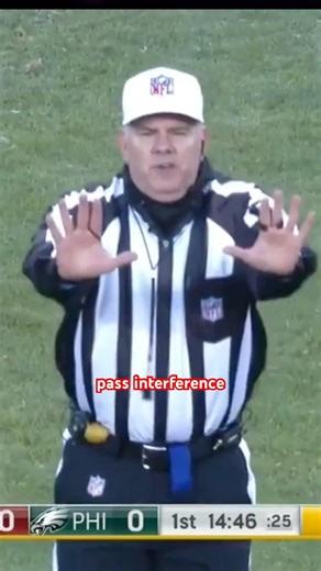 I HATE This Pass Interference Call #nfl #football #sports