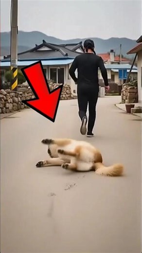 He Humiliated an Old Woman… What the Dogs Did Next Will Shock You 😱🐕