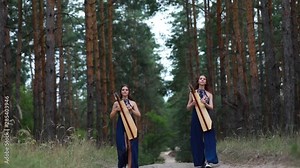 Two women harpists walk at forest road and play harps in beautiful dresses against a background of pines.
