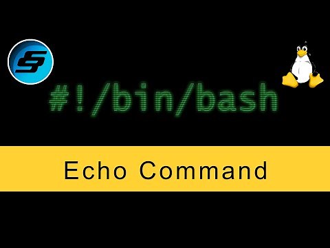 Echo Command - Bash Scripting