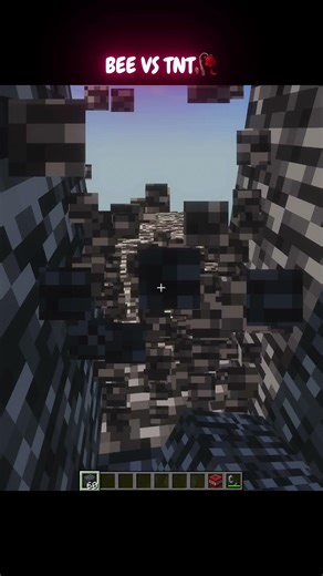 Minecraft Bee Moment