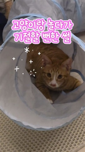 캣초딩한테 탑재된 공포게임