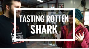 4.8K views · 78 reactions | One of Iceland's national dishes, I tried Hakarl - rotten shark meat from the poisonous Greenland shark. The ammonia-smelling meat is cured and consumed after a 3-4 month long fermentation process to make it edible. The up-to-500 kg sharks used at the Bjarnarhöfn shark-museum is bycatch sourced from commercial fishing boats in the country. Check out my video tasting it below. When in Iceland, right? ;) | The Lost Girl's Guide to Finding the World | Facebook