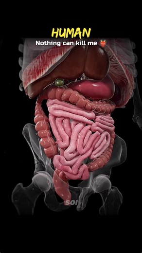 How Fast Can Venomous Animals Kill You? 💀👹 #Shorts #Science #Biology #Space #Earth