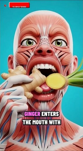 This Is How Ginger Boosts Your Body from Inside
