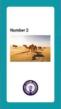 TOEIC Listening Pat 1: Photographs Exercise with Answers