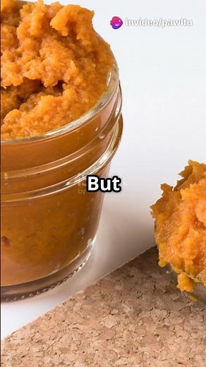 Canned Pumpkin for Dogs and Cats: Benefits and Tips! 🐾🎃