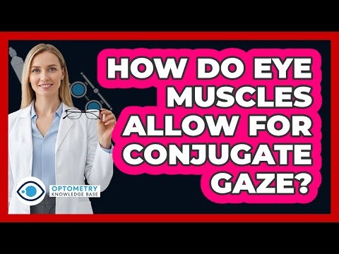How Do Eye Muscles Allow For Conjugate Gaze?