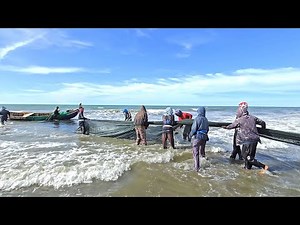 Amazing Fishing Net in the Sea | Catching Many Fish with Traditional Fishing Method