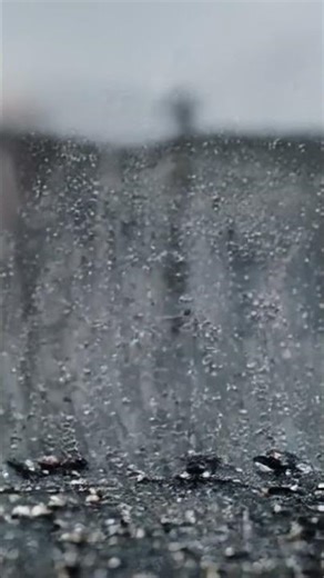 Rain Close-Up 🌧️ Relaxing Raindrops ASMR | Calm Rain Sounds | BERDILAS Rain ASMR