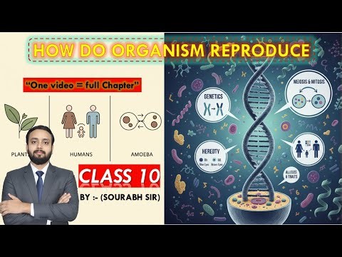 How Do Organisms Reproduce? | Class 10 Science Chapter 8 | Full Chapter Live Revision