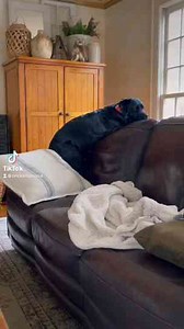 When You Were Just Outside 5 Seconds Ago but Want to Go Back Out Again