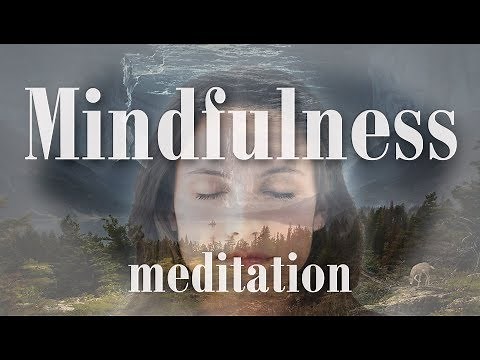 The Perfect Mindfulness Meditation in only 10 Minutes