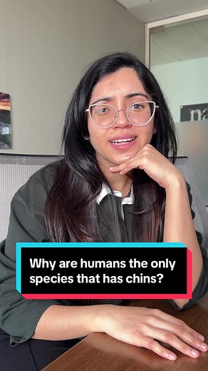 Why Do Humans Have Chins? The Evolutionary Mystery Solved