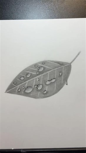 Easy to draw leaf with water droplets using graphite pencil