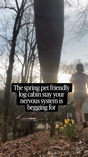 cozy pet friendly log cabin in the mountains of Asheville