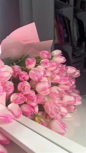 Growing Tulip Bulbs: A Complete Guide