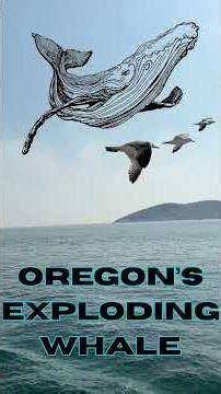 The Whale Explosion That Shocked A Town