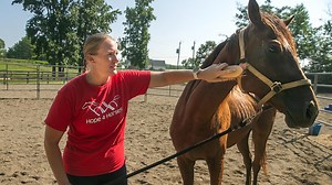 Rescue organization Hope for Horses opens in Northern Virginia