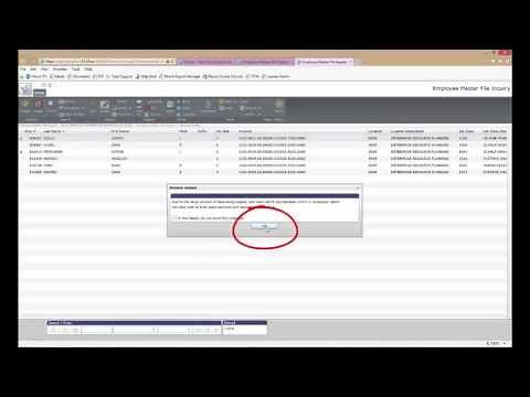 Web Guide - Munis Employee Inquiry