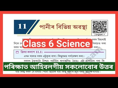 Class 6 Science chapter 11 Assam Board SCERT// Question and Answers// J3Q6K7