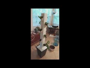 Growing with a Vertical Fogponics Tower