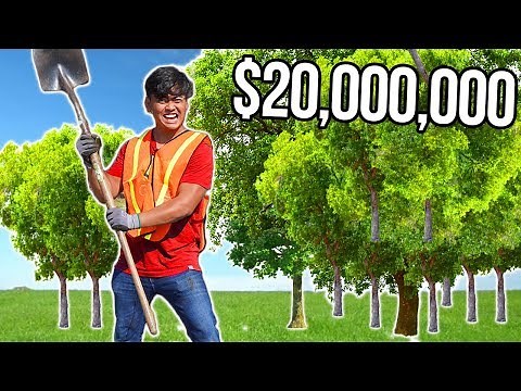 I Tried Planting 20,000,000 Trees (MrBeast & Mark Rober)