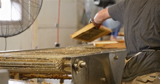 A sticky situation: Laurel apiary begins honey extracting season