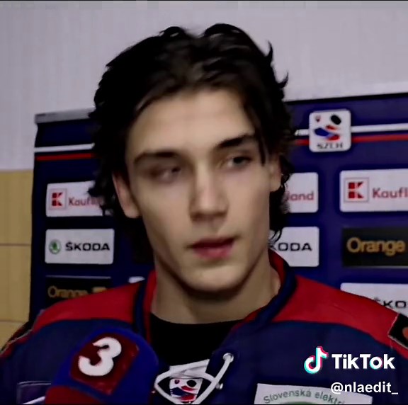 Exploring the Relationships of Michal Mrazik: Girlfriend, Wife, and More